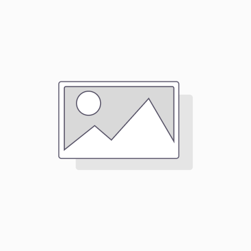 Iron Braun SI5057RD
